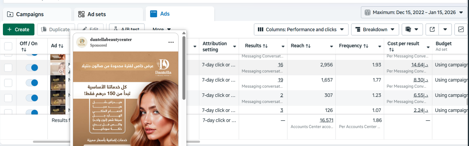 Meta Ads Campaign - Image 2